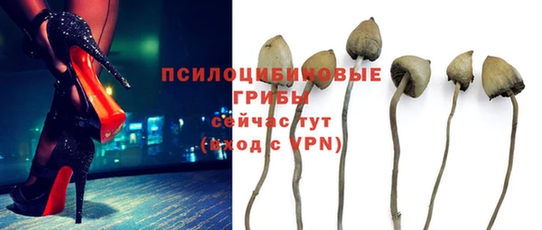 ПСИЛОЦИБИНОВЫЕ ГРИБЫ Арсеньев