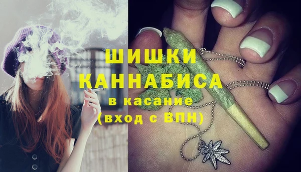a pvp Аркадак