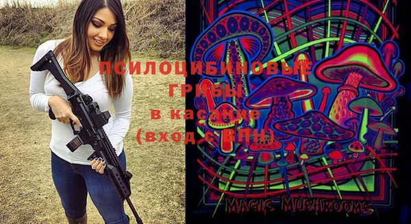 ПСИЛОЦИБИНОВЫЕ ГРИБЫ Арсеньев