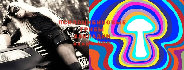ПСИЛОЦИБИНОВЫЕ ГРИБЫ Арсеньев