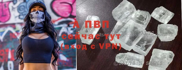 ПСИЛОЦИБИНОВЫЕ ГРИБЫ Арсеньев